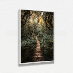 Quadro Paisagem Trilha de Madeira entre a Floresta - Quadro Amado