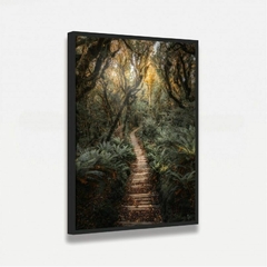 Quadro Paisagem Trilha de Madeira entre a Floresta na internet