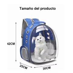 Cargador para Gatos - tienda online