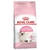 Ração Royal Kitten Para Gatos Filhotes 400g