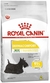 Ração Royal Dermacomfort Para Cães Adultos De Porte Mini 1kg