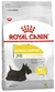 Ração Royal Dermacomfort Para Cães Adultos De Porte Mini 2,5kg