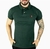 Camisa Polo RL | Verde Sálvia na internet