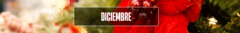 Banner de la categoría Diciembre