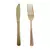 Set Tenedor Cuchillo Plastico Reforzado 20 cm x20 Dorado