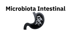 Banner da categoria  Microbiota Intestinal 