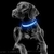 Collar para Mascotas con Luz Led -Celeste