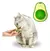 Catnip Natural Erva para Gatos - comprar online