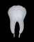 Modelo Premolar - loja online