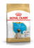 ROYAL CANIN PUG CACHORRO 1.14 KG