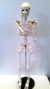 Imagen de Esqueleto de 85 cm articulable con Soporte para estudio