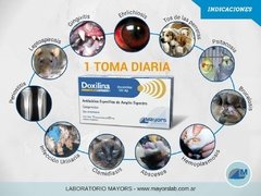 Doxilina antibiotico via oral en comprimidos del Laboratorio Mayors para caninos y felinos 