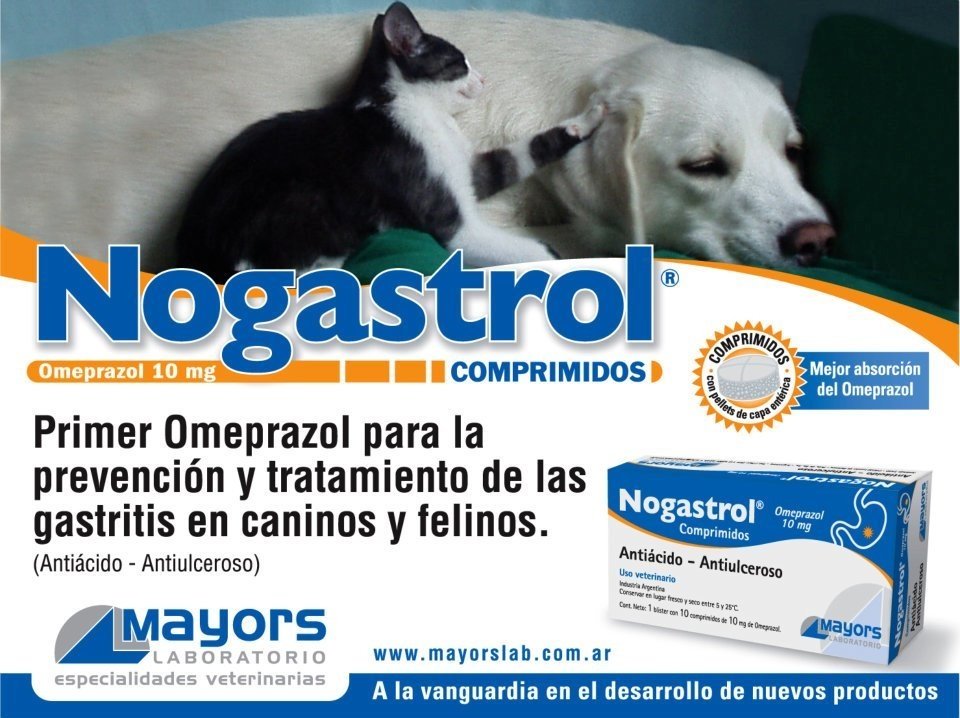 se le puede dar metronidazol a un perro con el estomago vacio