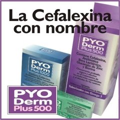 Pyo Derm Plus Antibiotico - Cefalexina saborizada para perros y gatos