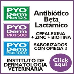 Pyo Derm Plus Antibiotico - Cefalexina saborizada para perros y gatos