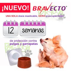 Imagen de Bravecto en comprimidos masticables para pulgas, garrapatas y sarna en perros