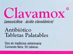 Clavamox 250 mg antibiotico en tabletas palatables - Foyel farmacia veterinaria para perros y gatos en Bariloche 