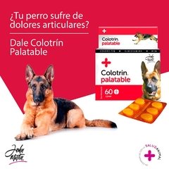 Colotrin comprimidos palatables  - Suplemento condroprotector para osteoartritis de caninos y felinos