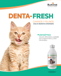 Denta - Fresh Ruminal solución para el mal aliento y placas dentarias de gatos