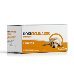 La Doxiciclina Ruminal 300 mg en comprimidos de rápida disgregación y liberación es un antibiótico bacteriostático de amplio espectro del grupo de las tetraciclinas