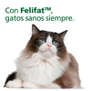 El Felifat en suspensión con Carnitina de Richmond es un suplemento nutricional via oral de uso exclusivo en felinos a base de L - Carnitina para el control de la obesidad y el sobrepeso. –