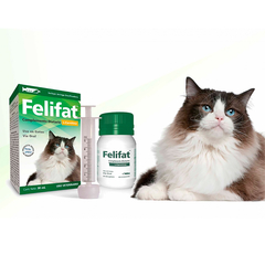 Felifat con Carnitina para el control del sobrepeso y la obesidad en gatos 