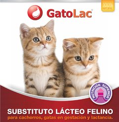 Gatolac - Sustituto lacteo felino para cachorros, gatas en gestacion y lactancia