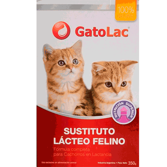 los cachorros pueden beber leche de gatita