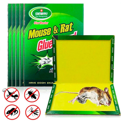 Glue Trap es una Trampa adherente con pegamento que ayuda en el control de ratas, ratones y otros bichos.