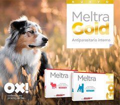 El antiparasitario interno oral Meltra Gold comprimidos palatables 20 Kg y 60 Kg del Laboratorio Brouwer es una combinación para el control de nematodos intestinales, Tenias y Giardias en caninos