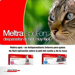 Meltra spot on Antiparasitario interno para gato de cualquier edad