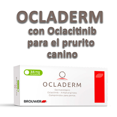 OCLADERM del Laboratorio Brower en comprimidos contiene Oclacitinib, es un producto dermatológico de uso oral para perros