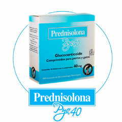 Prednisolona Pyo 40 glucocorticoide - antiinflamatorio en comprimidos para perros y gatos