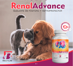 Renal Advance polvo - Quelante de fosforo y nefroprotector para Enfermedad Renal para perros y gatos