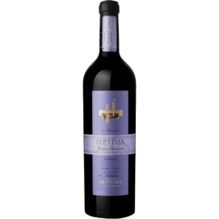 Septima 10 Barricas Tannat x750 ml