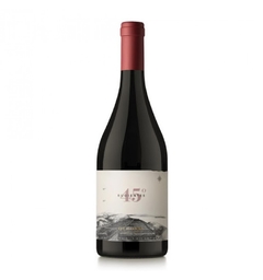 Otronia Rugientes 45° Pinot Noir Organico 2018