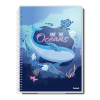 Caderno Universitário Cd 1 X 1 80f My Collec Fem (281703) - comprar online