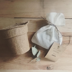 Kit de cultivo con maceta biodegradable - comprar online