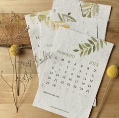 Calendario plantable 2023 -Kit - comprar online