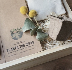 Cofre con cuaderno "Planta tus ideas" - comprar online