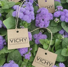 Press kit -Vichy - comprar online