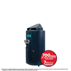 TERMOTANQUE ACQUAPIU - A4 SV - 700 LT - ALTA RECUPERACION - comprar online