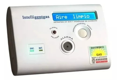 Detector de gas y monóxido 220v - Intelligent Gas