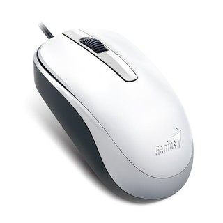 MOUSE GENIUS DX-120 USB WHITE 1200 DPI