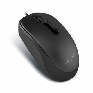 MOUSE GENIUS DX-120 USB BLACK - WPG Ecommerce