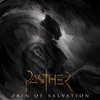 CD PAIN OF SALVATION - PANTHER (slipcase edition)