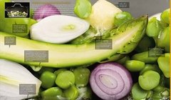 Imagen de Modernist Cuisine_The Art and Science of Cooking - Myhrvold, Nathan (Idioma inglés)