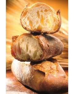 Panadería artesana, tecnología y producción - Xavier Barriga - tienda online
