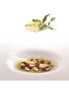 CLOROFILIA - Andoni Luis Aduriz - GOUT Elite Gastronómica