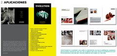 EVOLUTION - Jordi Puigvert